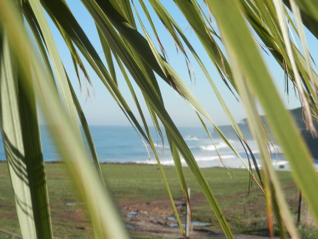 H.A.N.D Surf Hostel Langre  Luaran gambar